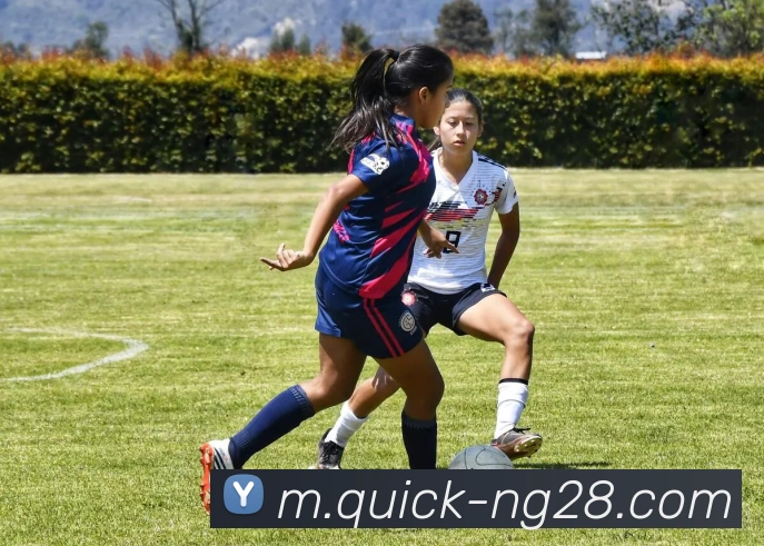 南宫28平台生态图